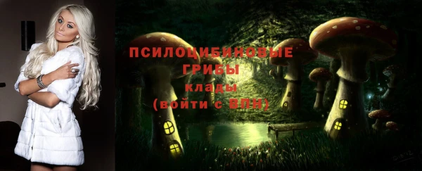 ECSTASY Надым