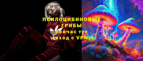 ECSTASY Надым