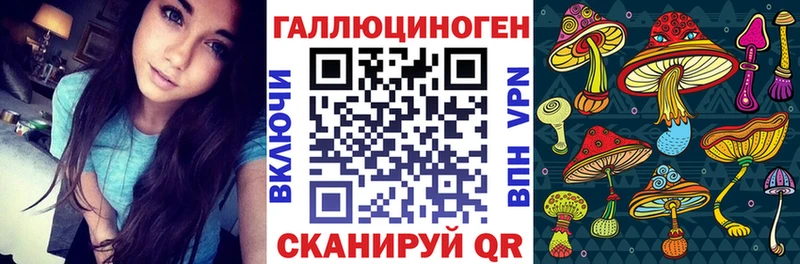 Галлюциногенные грибы GOLDEN TEACHER Купить закладки Навашино